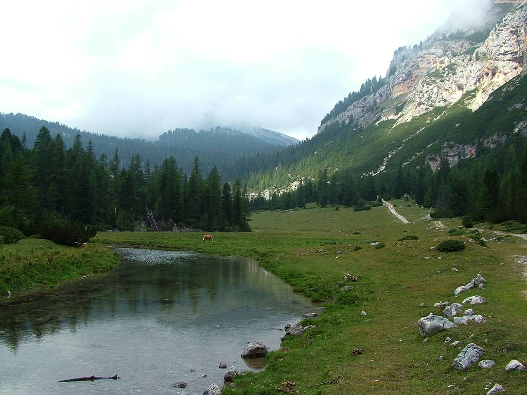 Der Blick zur&uuml;ck, der Berg rechts geh&ouml;rt zum Col Bechei Dessora - Massiv.