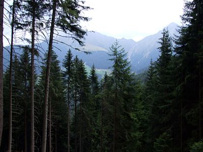 Die Berge rund um Meran 2000, rechts der Gr. Ifinger (2581 m), links der Verdinser Plattenspitz (2680 m).