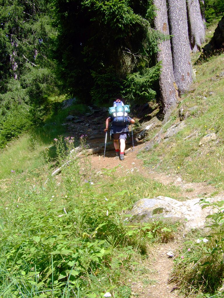 Jetzt wandern wir im Wald, im Schatten, dafür ist es steiler.